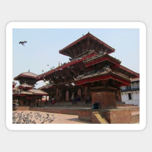 Kathmandu Temple Pigeons Sticker